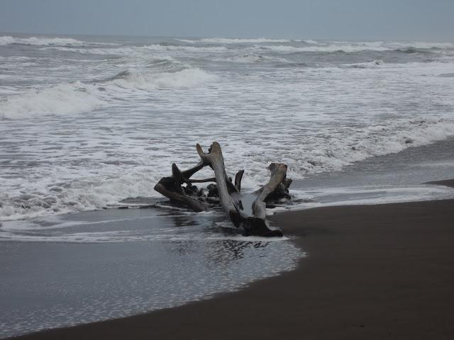 LOOK232-16.8.19638:15Buenos días, amiga!!Empezamos el día...