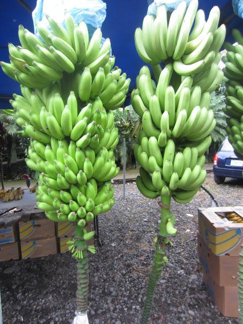 LOOK231-15.8.20137:30DESTINO PARA SER MÁS FELIZ.Las dos ú...