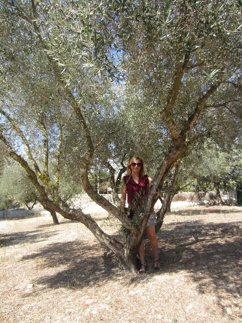 LOOK224-6.8.20137:15¡¡Hoy es un precioso día!!Amiga,vamos...