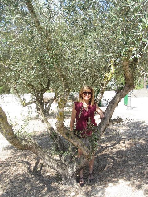 LOOK224-6.8.20137:15¡¡Hoy es un precioso día!!Amiga,vamos...