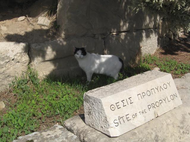 Grecia inmortal: maravillas de la Acropólis