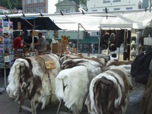 Viaje a Fiordos 2013 2 865