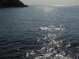 40 Travesia de Sant Feliu de Guixols