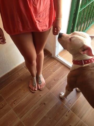 Coral for the summer.