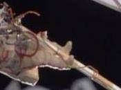 Salida extravehicular récord