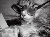 Leyendo