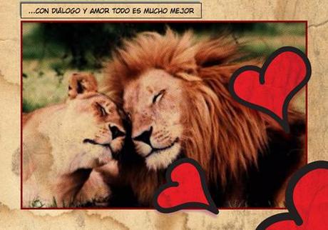 Mi particular #rinonaranja (o #yanotegritocariño) #Yanotegritocariño3