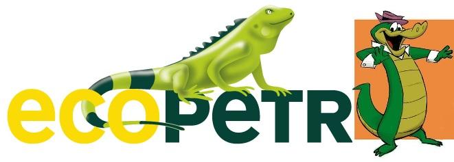 Valor Intrínseco de Ecopetrol - Metodo del Valor