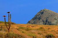 El Sabor de La Guajira en Imagenes