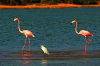 El Sabor de La Guajira en Imagenes