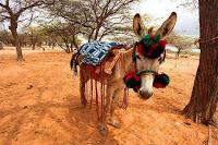 El Sabor de La Guajira en Imagenes