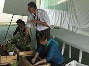 Taller gratuito enseñara cómo hacer compost para jardín
