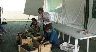 Taller gratuito enseñara cómo hacer compost para el jardín