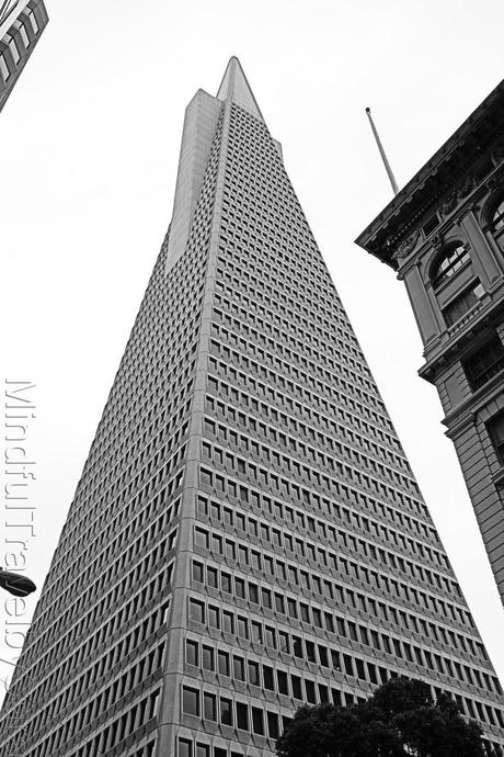San Francisco in Black and White