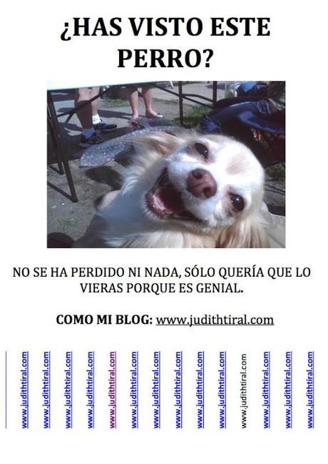 marketing guerrilla judith tirado