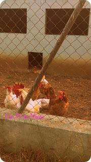 ¡Horror! ¡Estoy incomunicada! (Yupiiiiii)