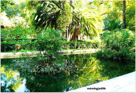 INFORMAL LOOK INFORMAL LOOK