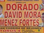 está calle cartel anunciador feria taurina priego