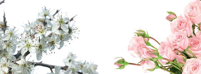 ¡Arthes celebra 35 años de éxitos!