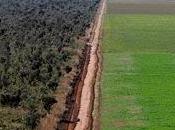 Exceso Tierra