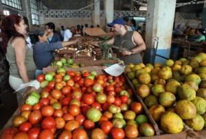 La economía doméstica o el nivel de vida del cubano promedio, asignatura pendiente.