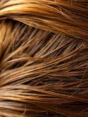 20101113005358-cabello-graso-l