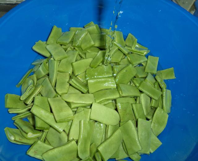 Como Limpiar y Conservar Bajocones