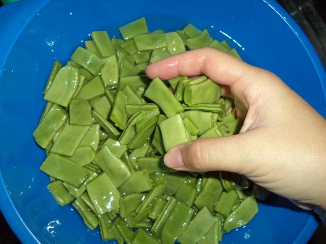 Como Limpiar y Conservar Bajocones