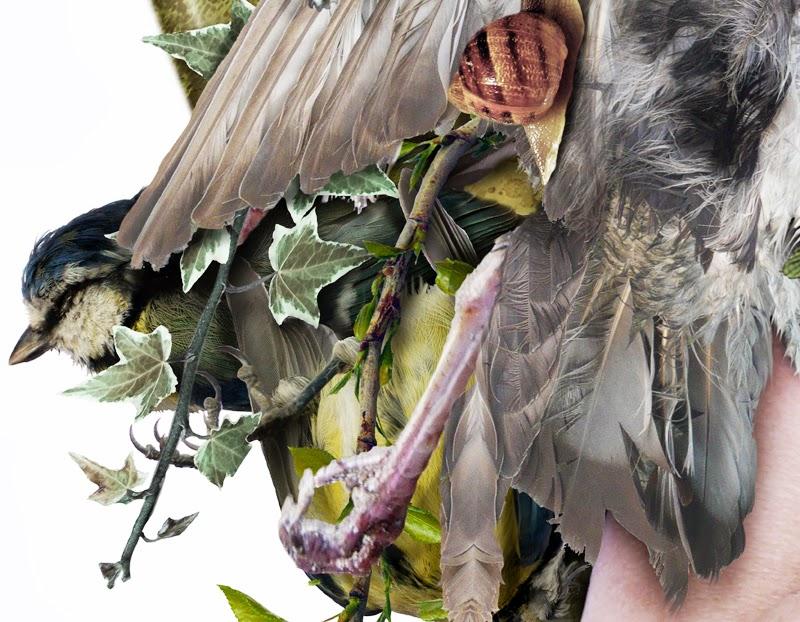 Serie ORO. Fotomontaje 120 x 90 cm.