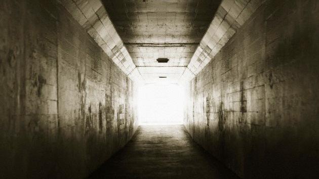 Descifran con ayuda de ratas el misterio de las experiencias en el umbral de la muerte