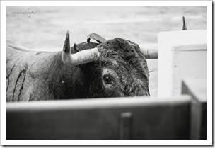 Anehv1KVeAE__NzsG91ejARGFcv1vjgI2y9iPfCJmyQ