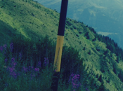 Desempolva recuerdos felices