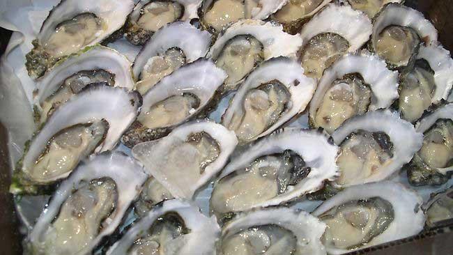 ostras del Pacífico