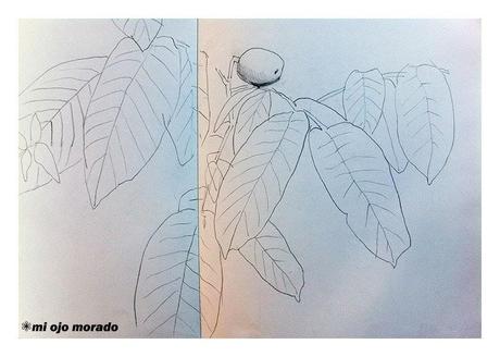 Algunos dibujillos del natural