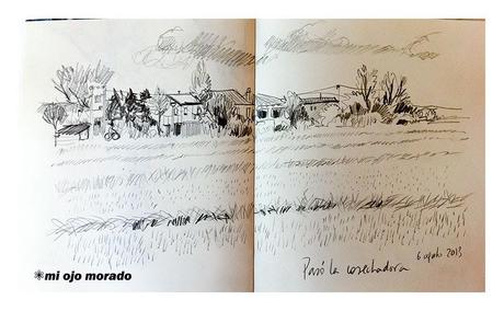 Algunos dibujillos del natural