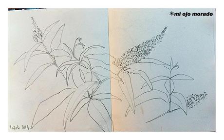 Algunos dibujillos del natural