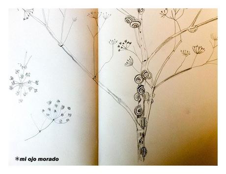 Algunos dibujillos del natural