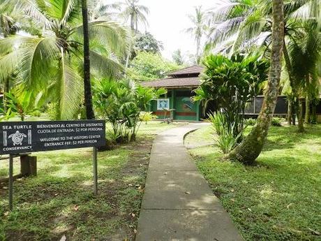 Tortuguero y sus tortugas marinas