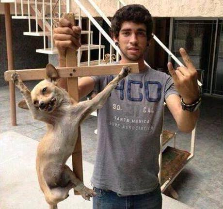 Indignante, crucifixión de perro y lo cuelga en facebook