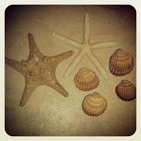 RECORDANDO LAS VACACIONES