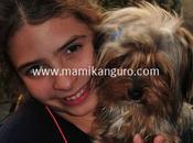 mascotas chicos: relación puros beneficios