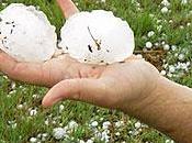 Viñedos franceses castigados granizo