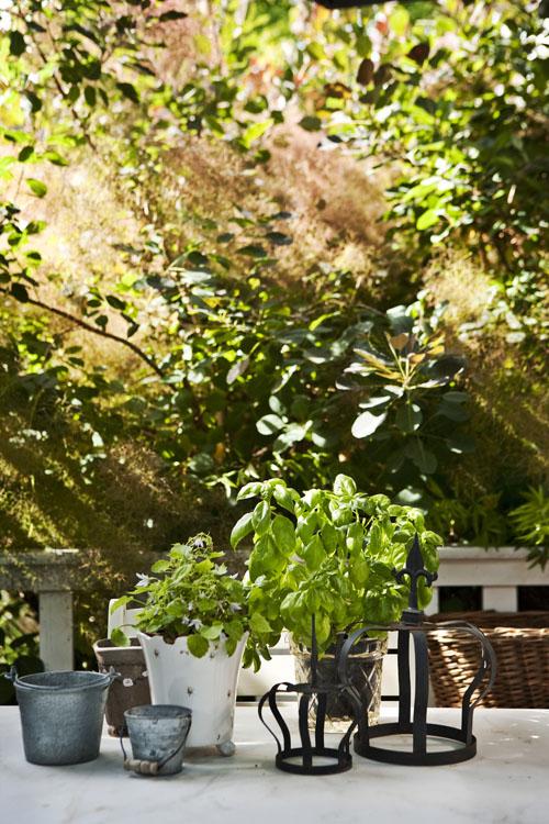 TODO SOBRE MI MADRE Y SU CASA PERFECTA