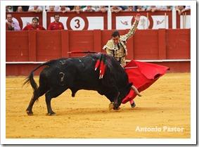 el fandi 22-8-2013 8