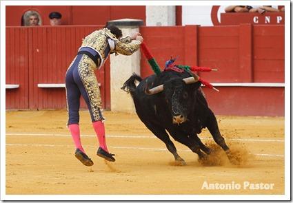 el fandi 22-8-2013 5 (1)