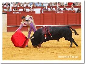 el cid 22-8-2013 1