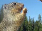 Investigador afirma 2041 desaparecerá religión: cierto?