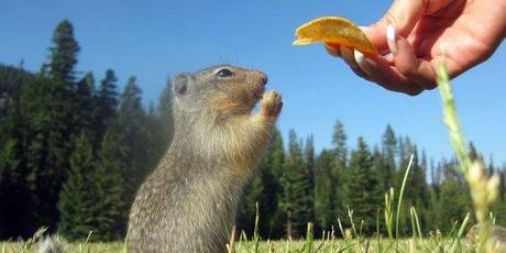 Investigador afirma que en 2041 desaparecerá la religión: ¿es cierto?