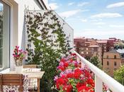 Balcones Rusticos