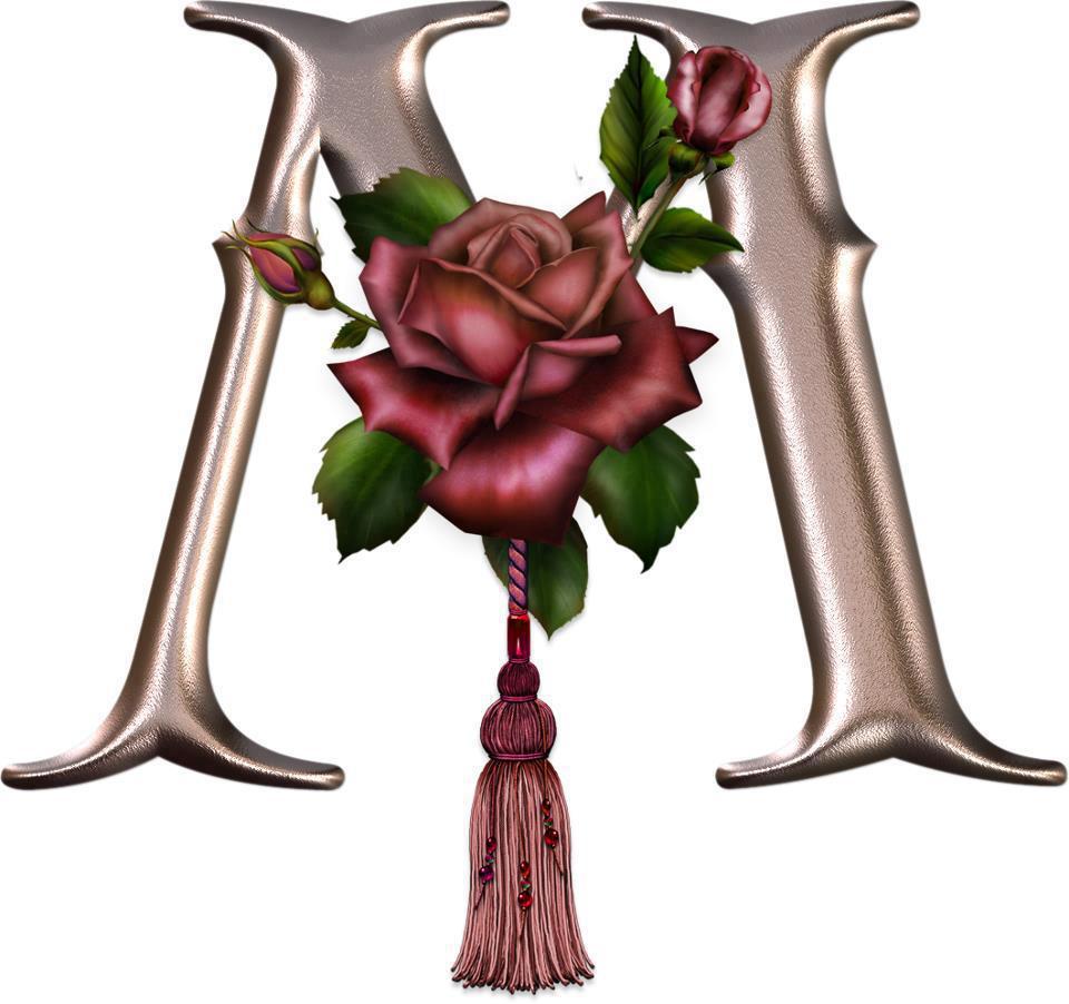 298111_488073147932814_798353893_n